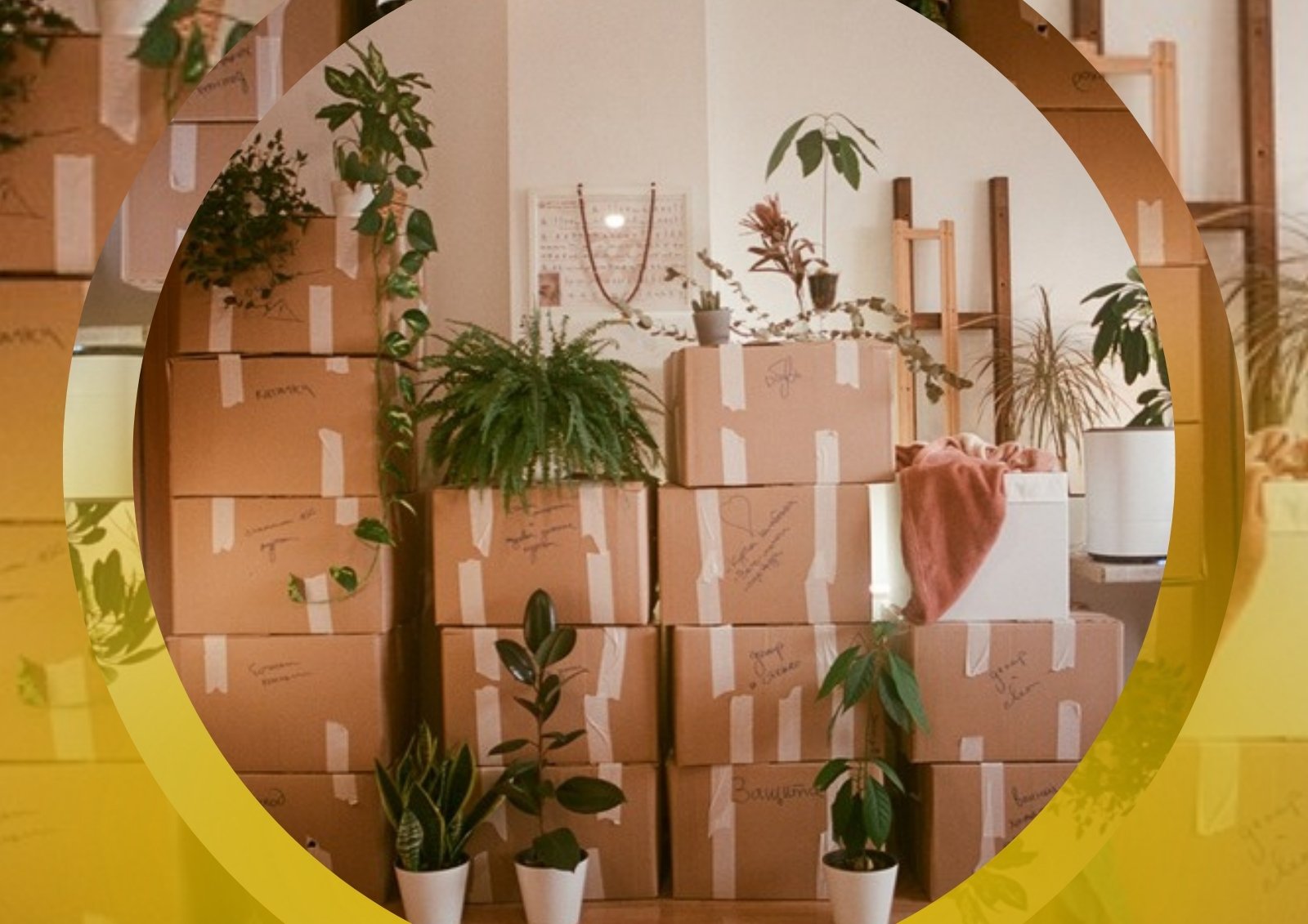 Cartons de déménagement empilés dans un local