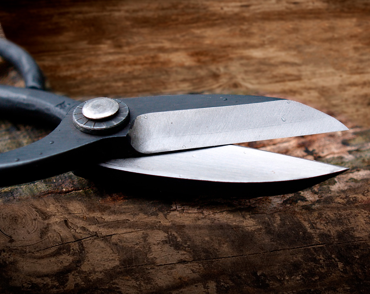 Close-up of sharp bonsai pruning shears resting on a wooden surface.
