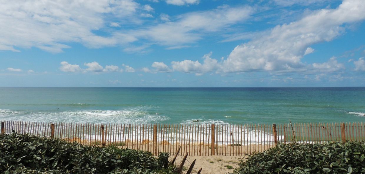  Vue sur l’océan Atlantique depuis les dunes de Lacanau, avec barrière en bois, végétation et ciel bleu parsemé de nuages.