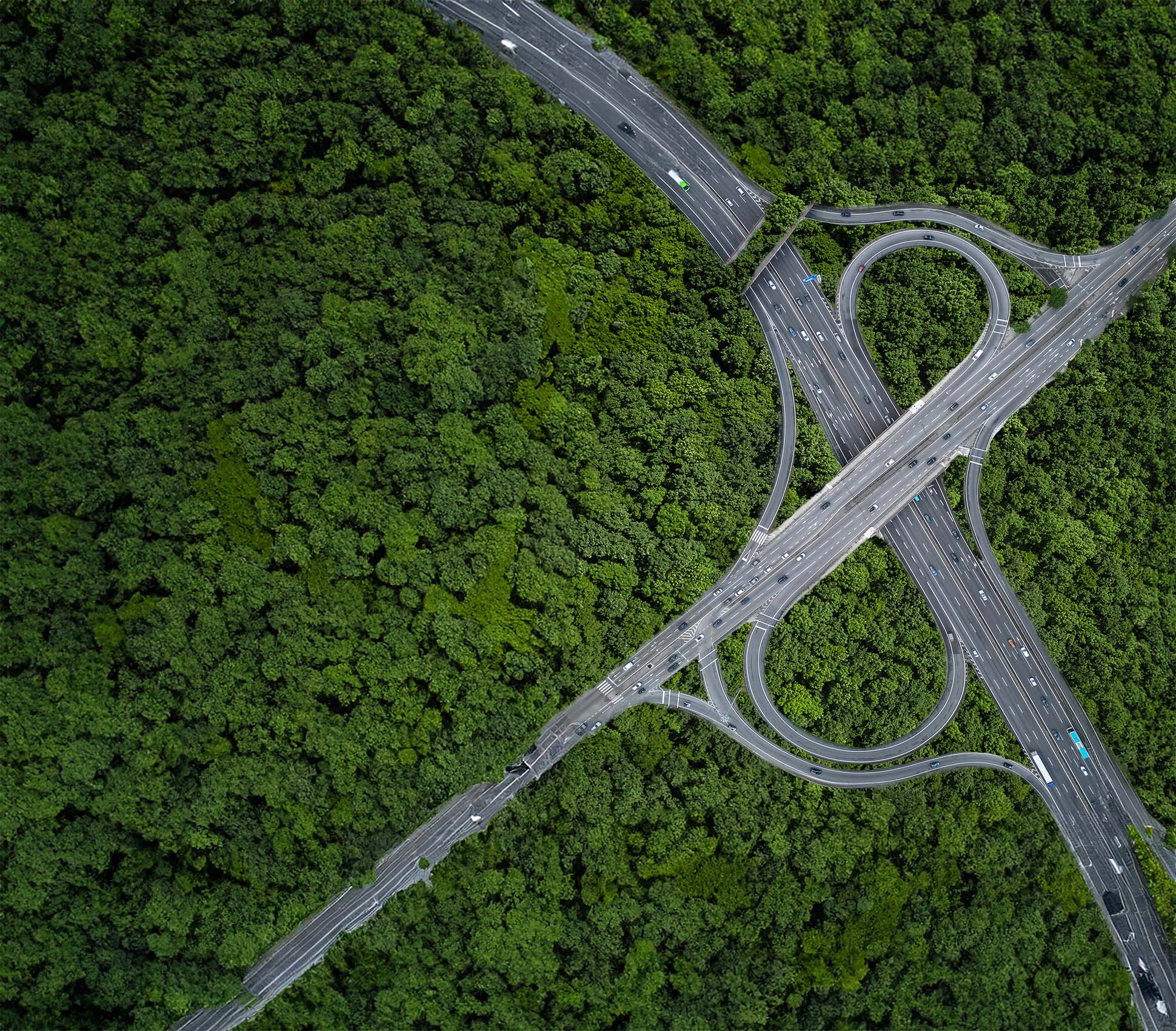 A figure 8 road intersection going through a sustainable green forest.