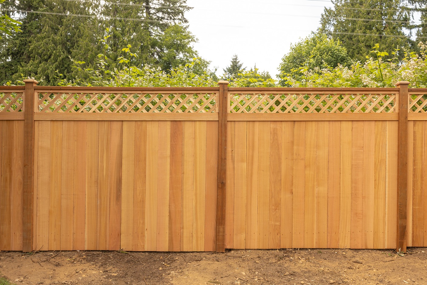 newly constructed wooden privacy fence with vertical cedar planks and a decorative lattice top
