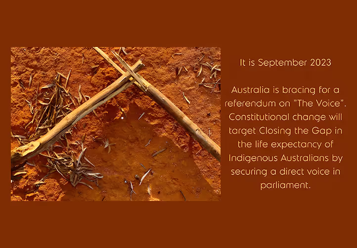 A high-angle shot shows two weathered, light brown wooden sticks lying on a reddish-brown, somewhat uneven, muddy ground. The stick on the left is positioned diagonally from the bottom left to the upper right.