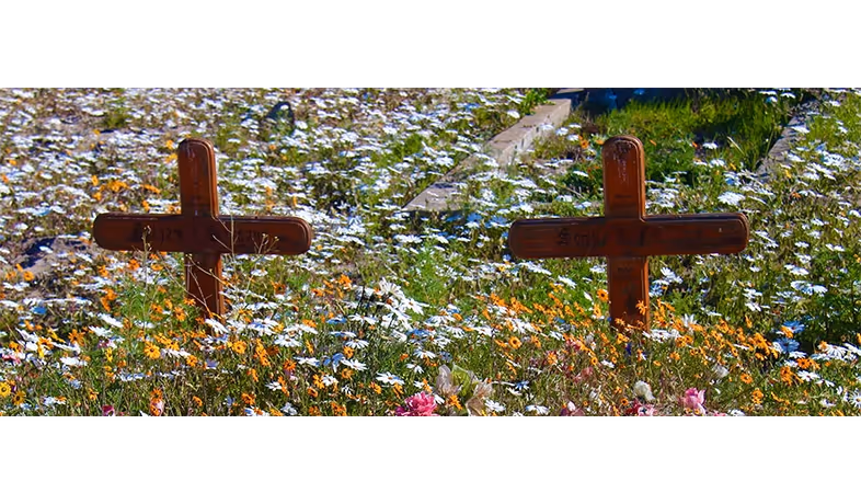 Two wooden crosses stand in a field of colorful wildflowers, including white daisies, orange and pink blooms, with green grass and foliage in the background.