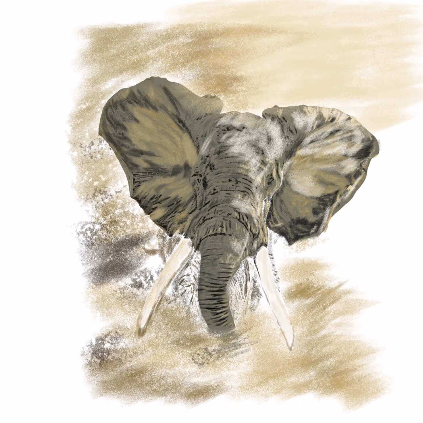 Watercolor-style illustration of a large African elephant with prominent tusks and wide ears, emerging from a dusty, textured background.