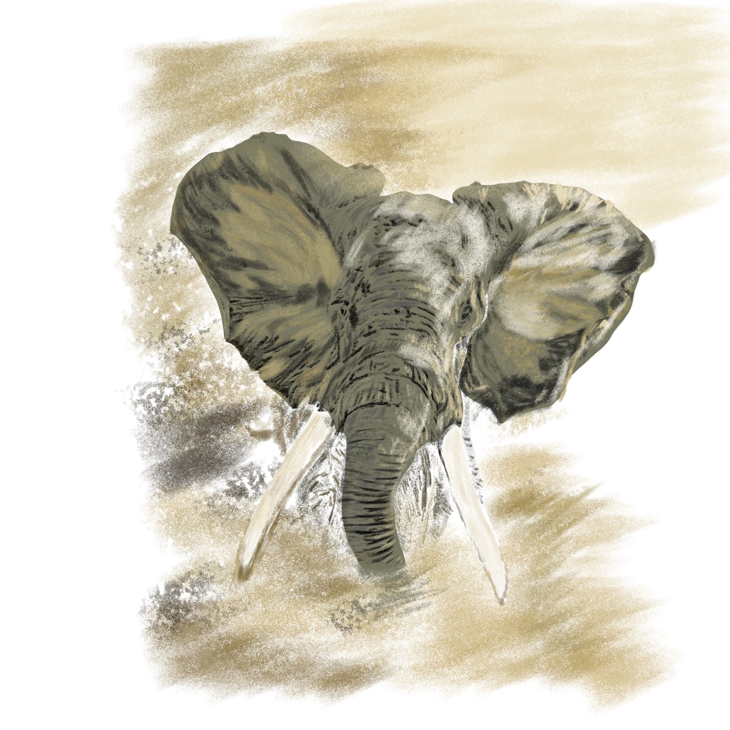 Watercolor-style illustration of a large African elephant with prominent tusks and wide ears, emerging from a dusty, textured background.