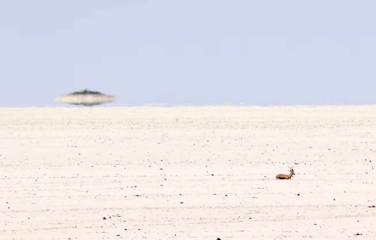 A lone antelope rests on a vast, sun-bleached salt flat under a pale blue sky. In the background, a mirage creates the illusion of a floating island or body of water, emphasising the intense heat and desolation of the landscape.