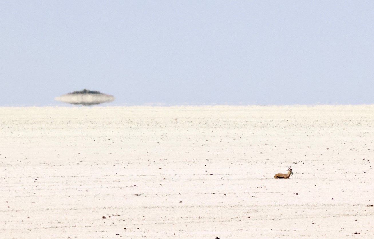 A lone antelope rests on a vast, sun-bleached salt flat under a pale blue sky. In the background, a mirage creates the illusion of a floating island or body of water, emphasising the intense heat and desolation of the landscape.