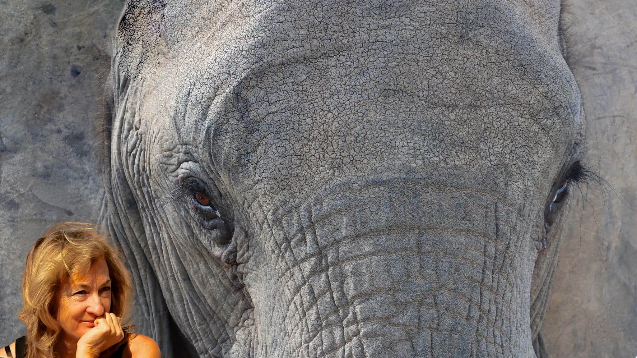 Modi Thabeng (Close to the Mountains)