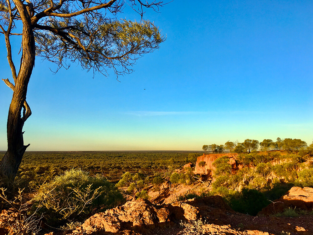 Vast Australian Outback landscape at golden hour with a gnarled tree, red rocky cliffs, and the title "The Outback of Down Under" by Gabriël & Hannelie Roux.