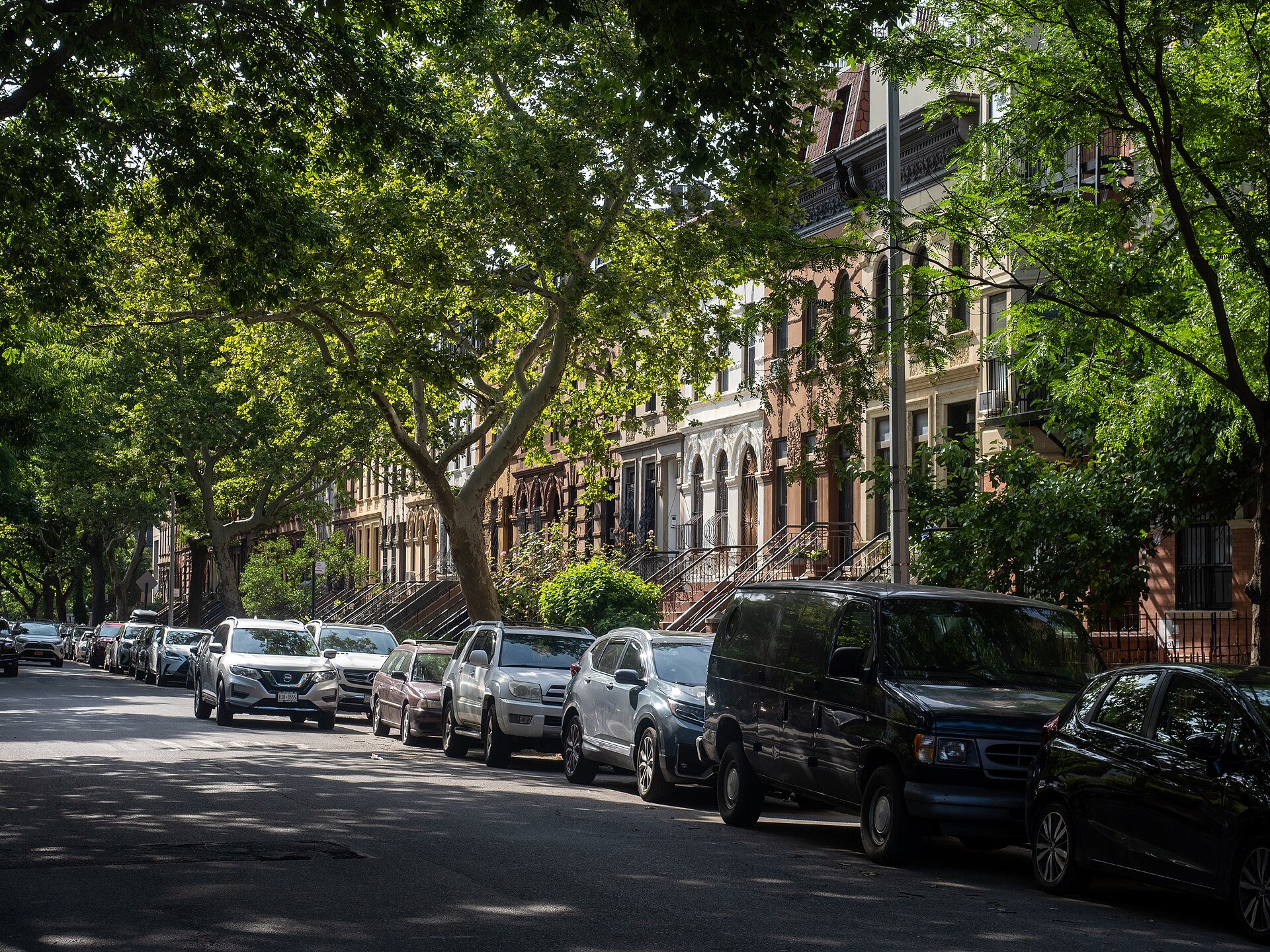Historic rowhouses on a tree-lined street in Prospect Heights Brooklyn
