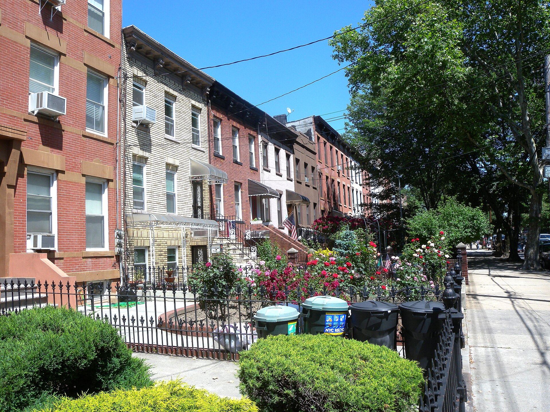 Historic brownstones with deep front gardens in Carroll Gardens Brooklyn