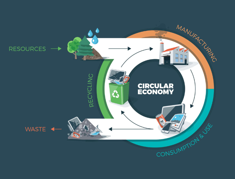 How to Implement Circular Economy Principles in the CPG Industry