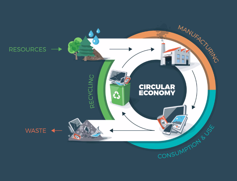 How to Implement Circular Economy Principles in the CPG Industry
