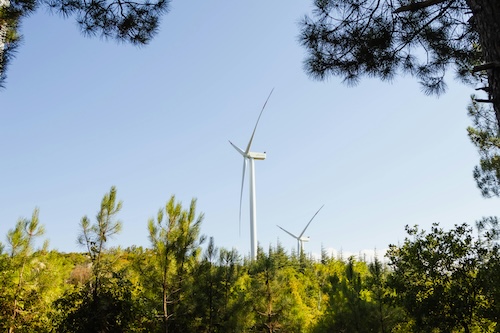 Makersite vs Sphera: Choosing the Right LCA Software