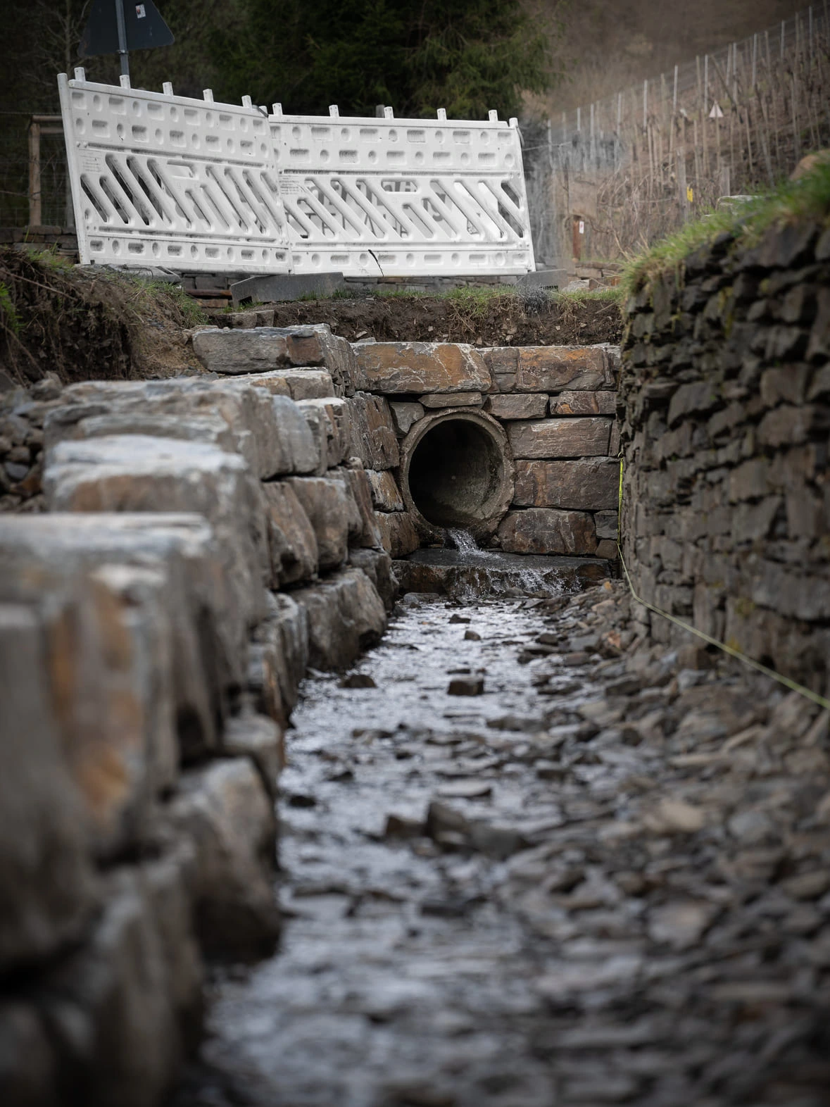 Projektvorstellung: Mayschoß, Wiederherstellung Auelsbach
