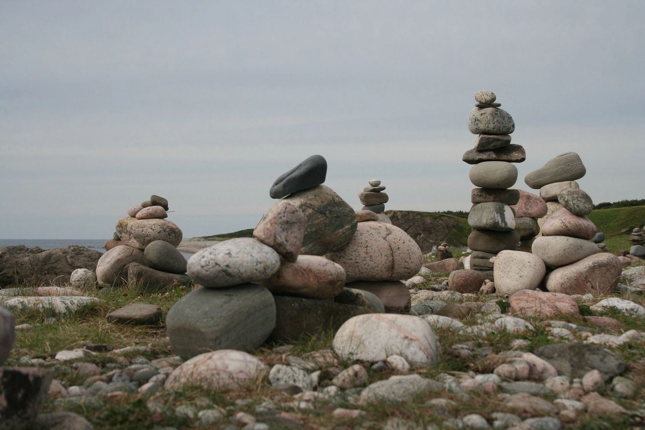 A Call and An Echo: A Fulfilling Life Through Mindfulness