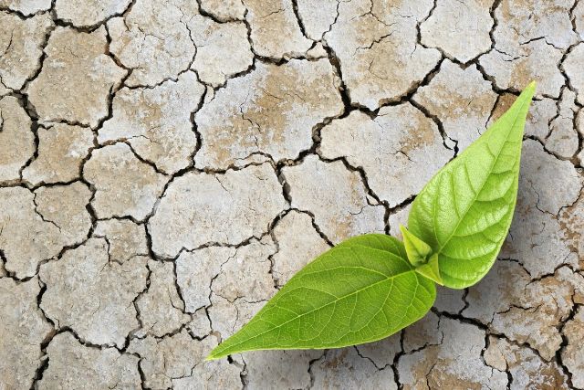 Most people will admit that they speak to themselves all day long. Is it true that you believe what you think literally? For example, you have a thought about yourself: You are a terrible person, or you should really be afraid of what they are going to think about you now?