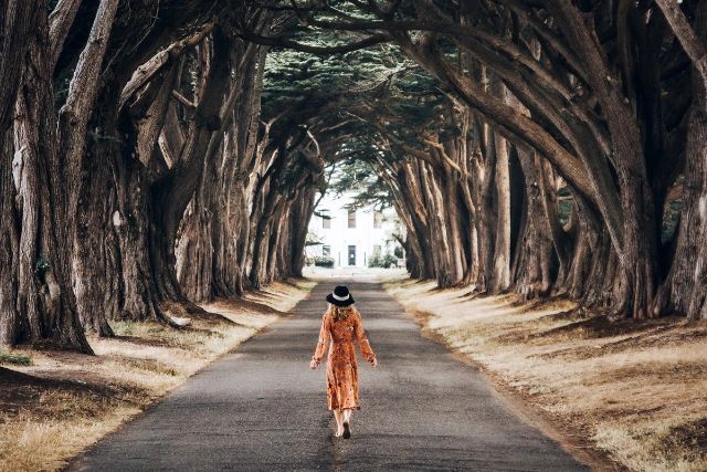 journey, travel, meditation, mindfulness