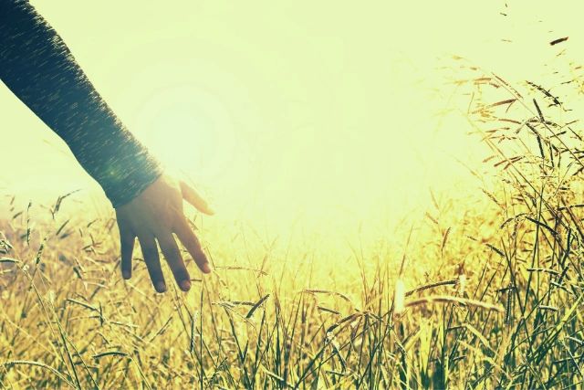 meditation, mindfulness, self-love, inner peace, chaos, stillness