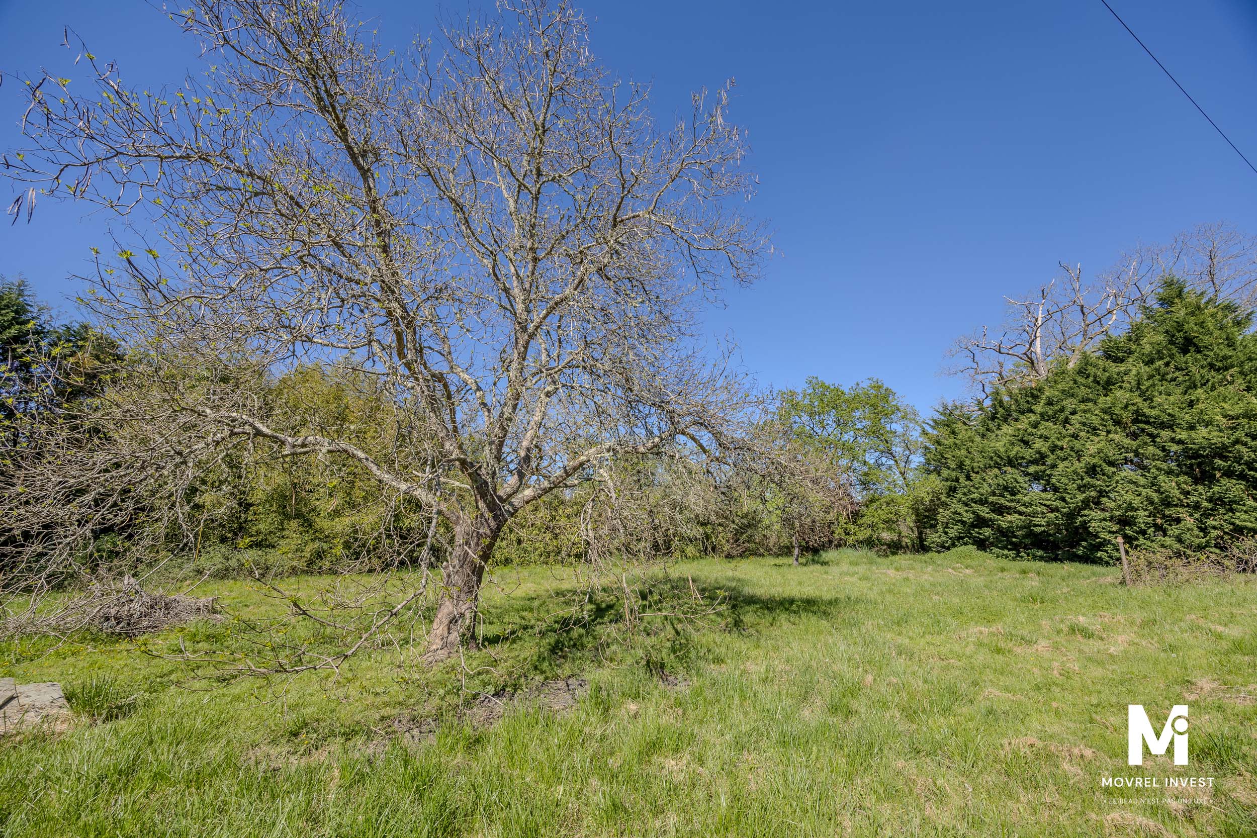 Photo 10 de Villa Christelle villa à vendre à Bélis par Movrel Invest