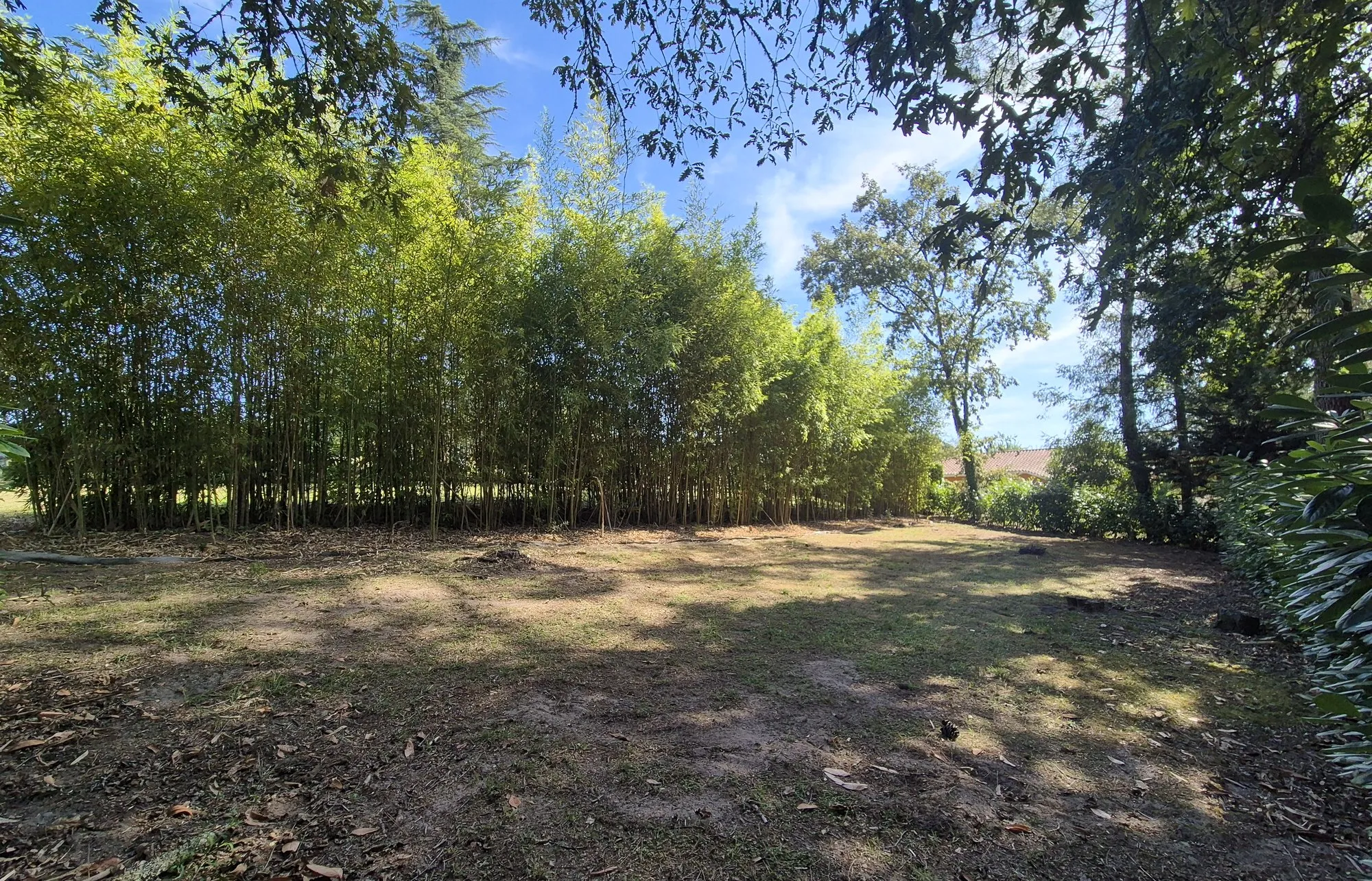 Vue principale de Terrain Suzanne terrain à vendre à Mont-de-Marsan 524m2