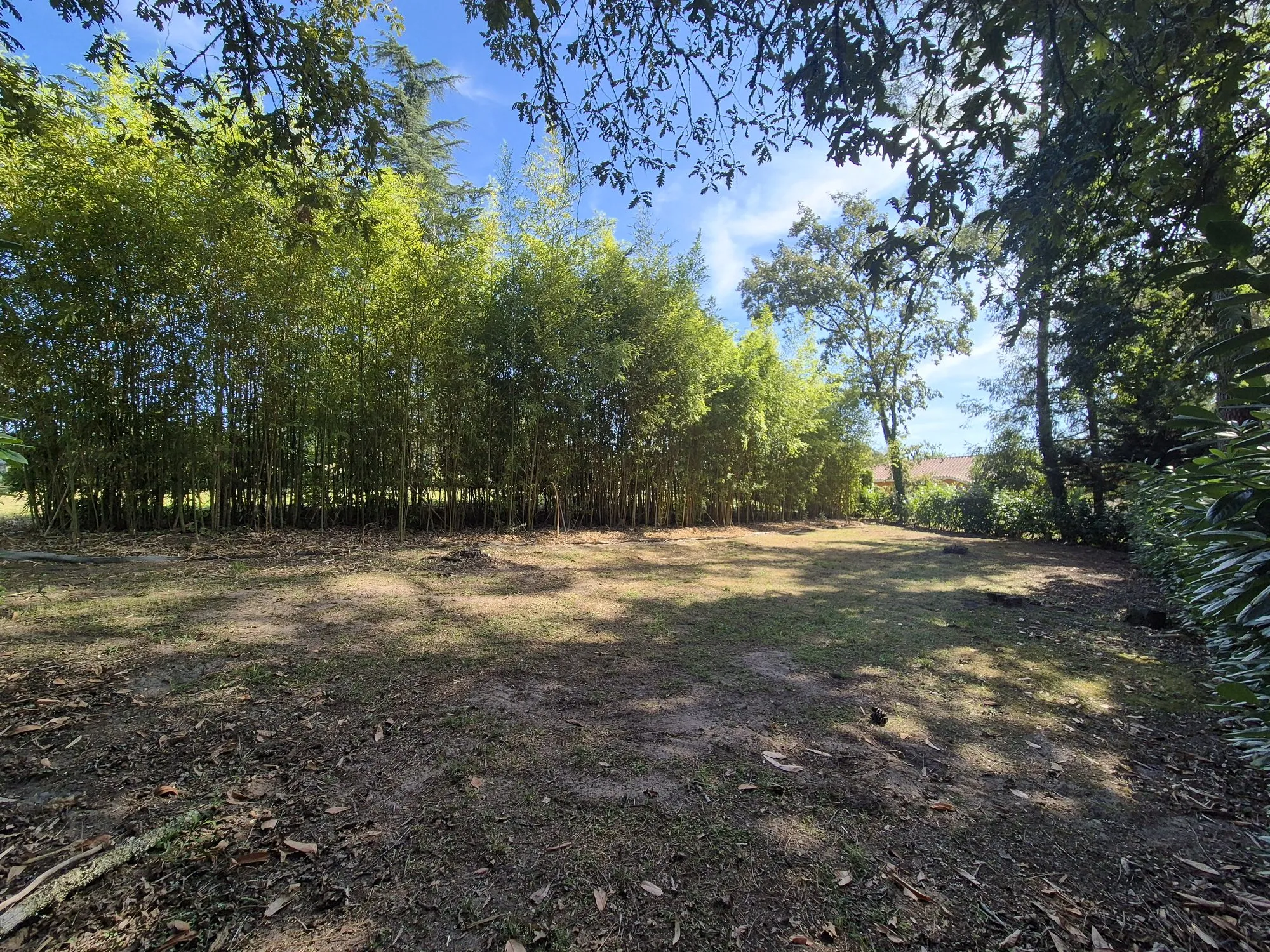 Photo 1 de Terrain Suzanne terrain à vendre à Mont-de-Marsan par Movrel Invest