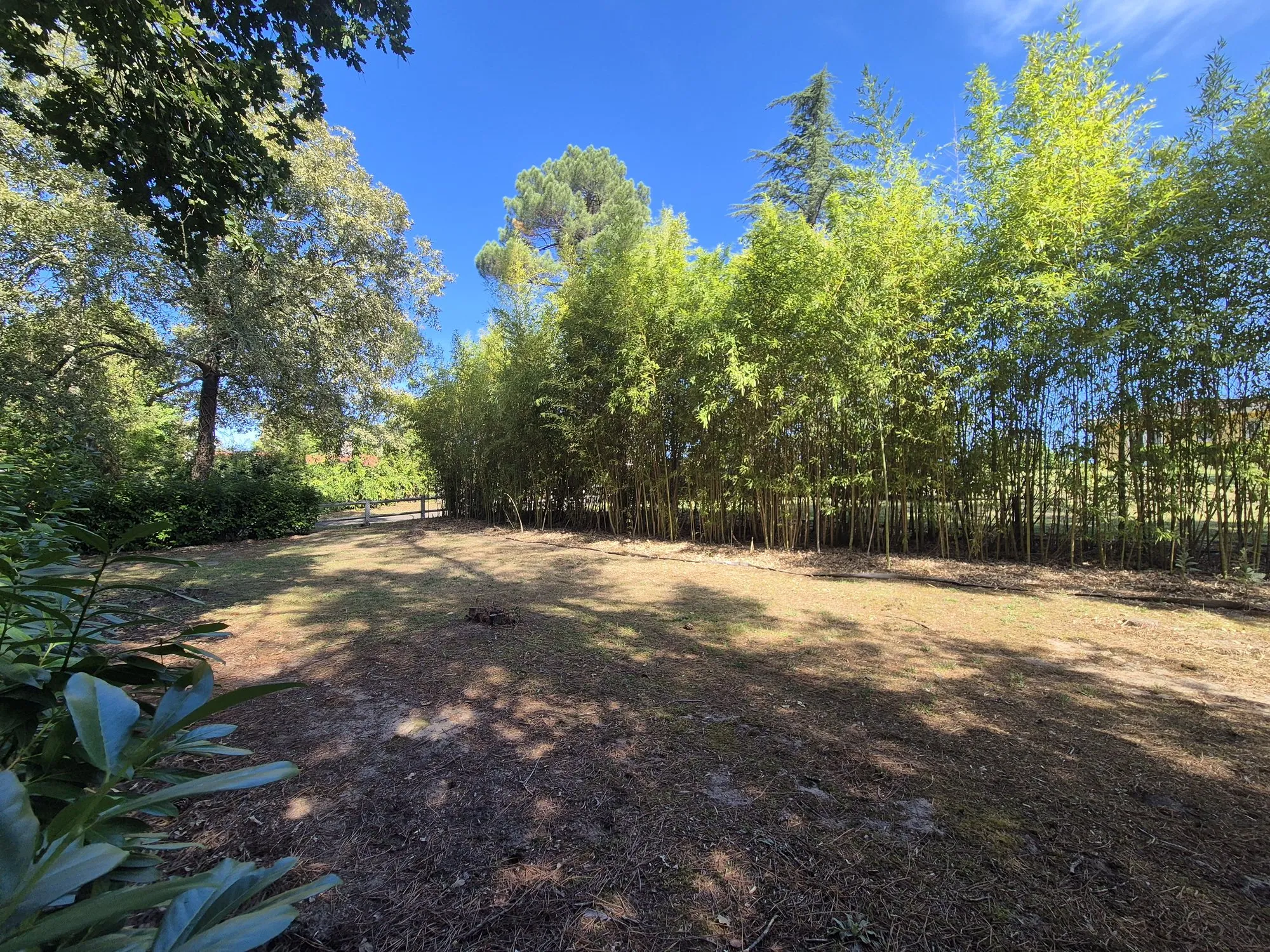 Photo 2 de Terrain Suzanne terrain à vendre à Mont-de-Marsan par Movrel Invest