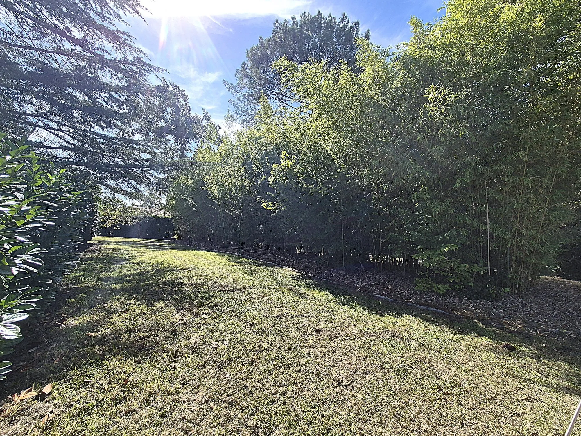 Photo 4 de Terrain Suzanne terrain à vendre à Mont-de-Marsan par Movrel Invest