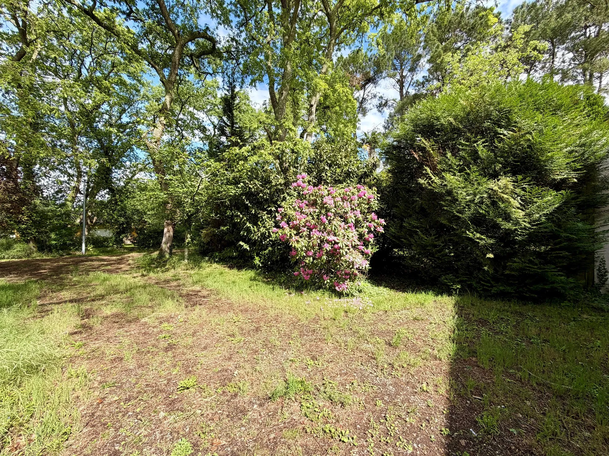 Photo 3 de Villa Hilda villa à vendre à Mont-de-Marsan par Movrel Invest