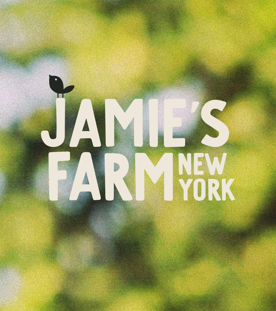 Jamie's Farm New York Maple Pecan with Sea Salt granola packaging design shown outdoors against a blurred floral background with product description text