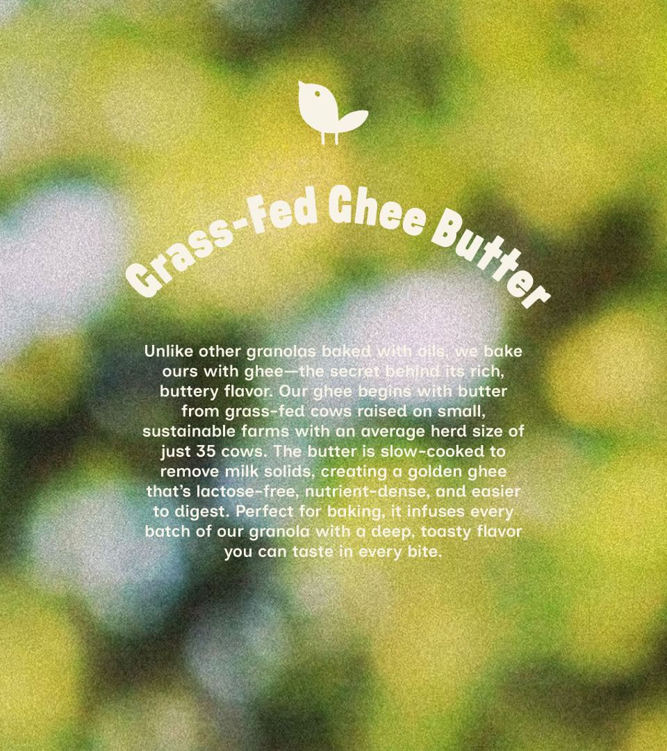 Jamie's Farm New York brand graphic highlighting grass-fed ghee butter as a key ingredient, with handwritten-style typography on a bokeh green background