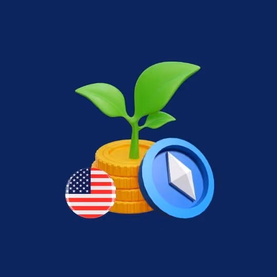 Crypto Staking Taxes in the US