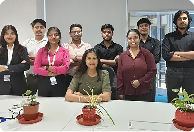 Frugal Team