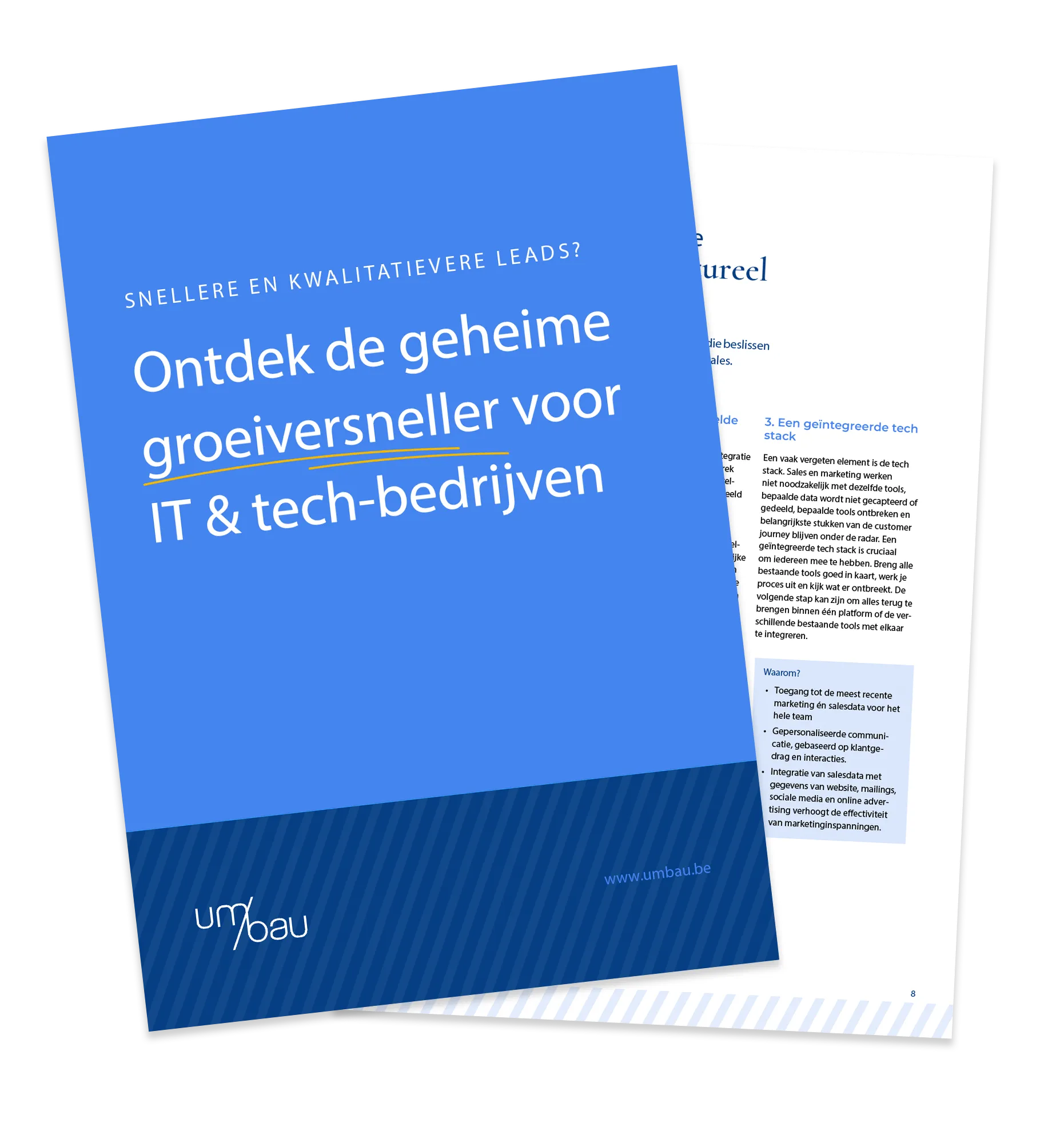 E-book Umbau: Ontdek de geheime groeiversneller voor IT & tech-bedrijven