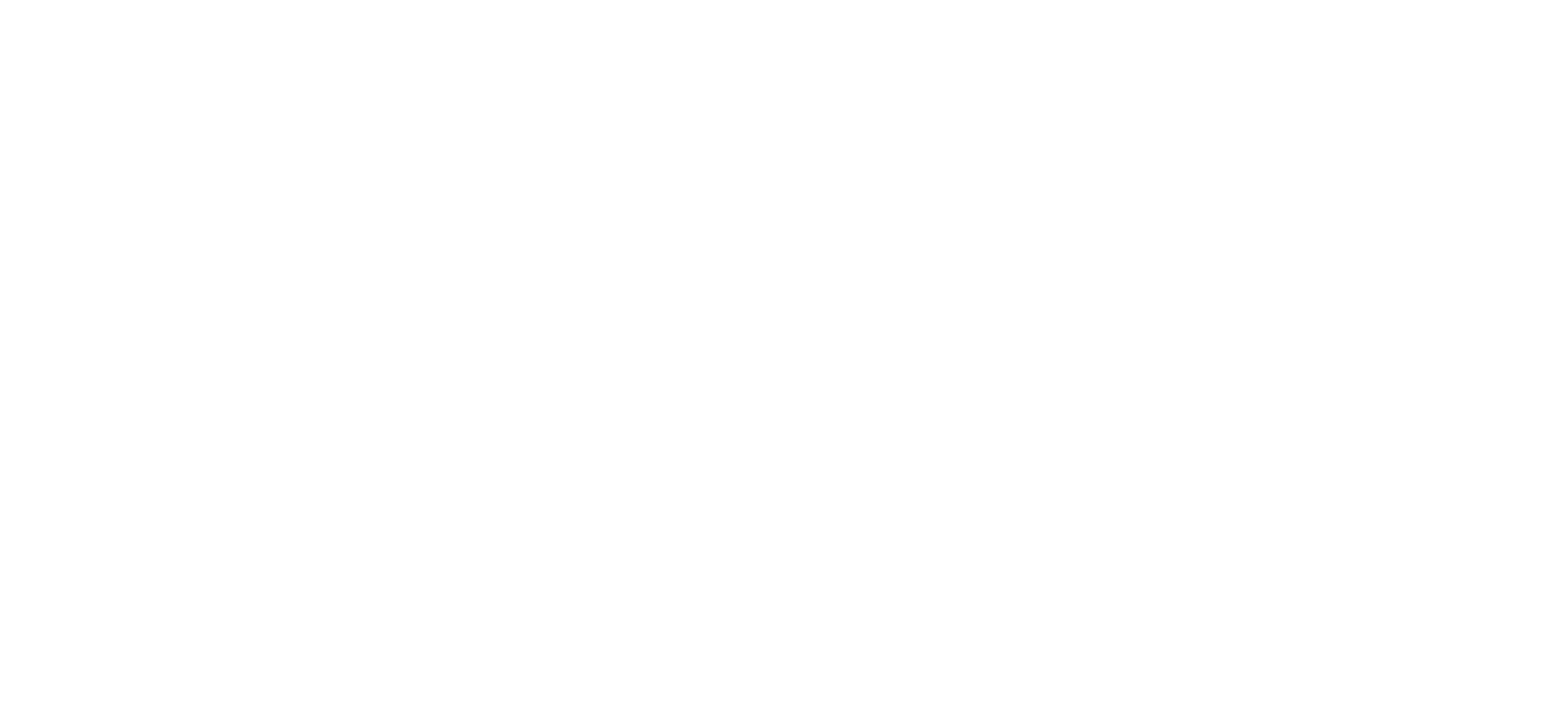 Leadinfo Silver Partner logo