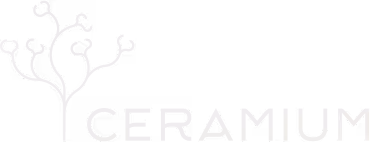 Logo Ceramium