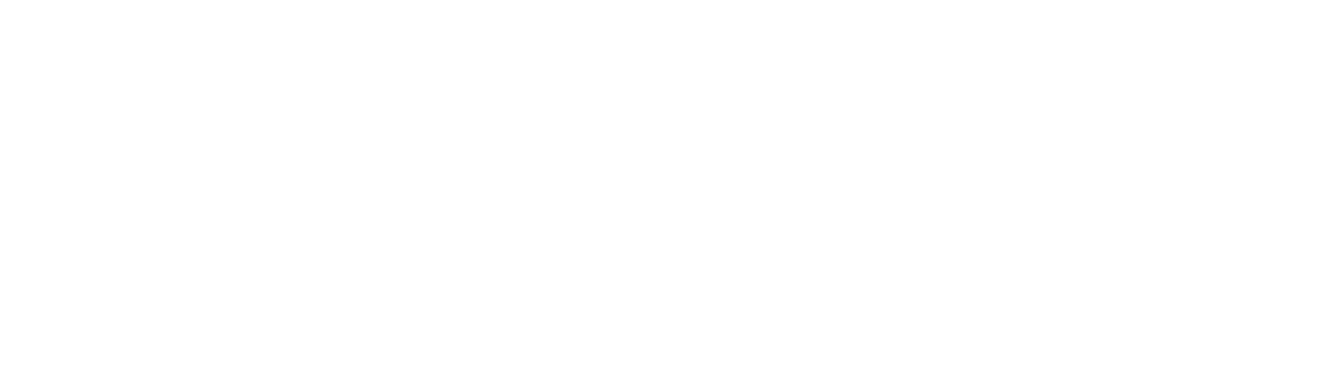 LEK Logo