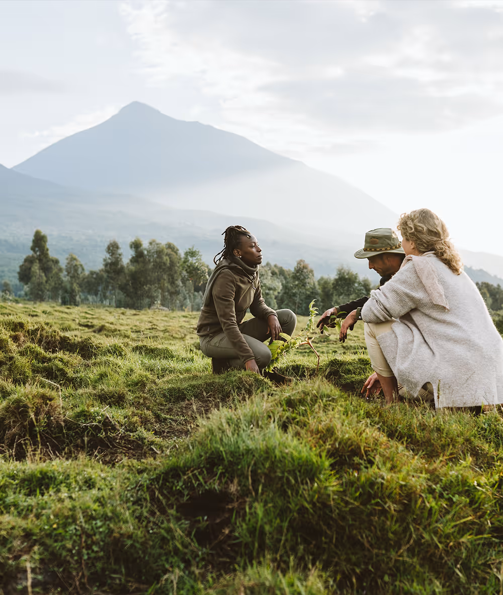 Three people kneeling in a grassy field during a tree-planting activity, with soft morning light illuminating a forested valley and a volcanic mountain rising in the background.