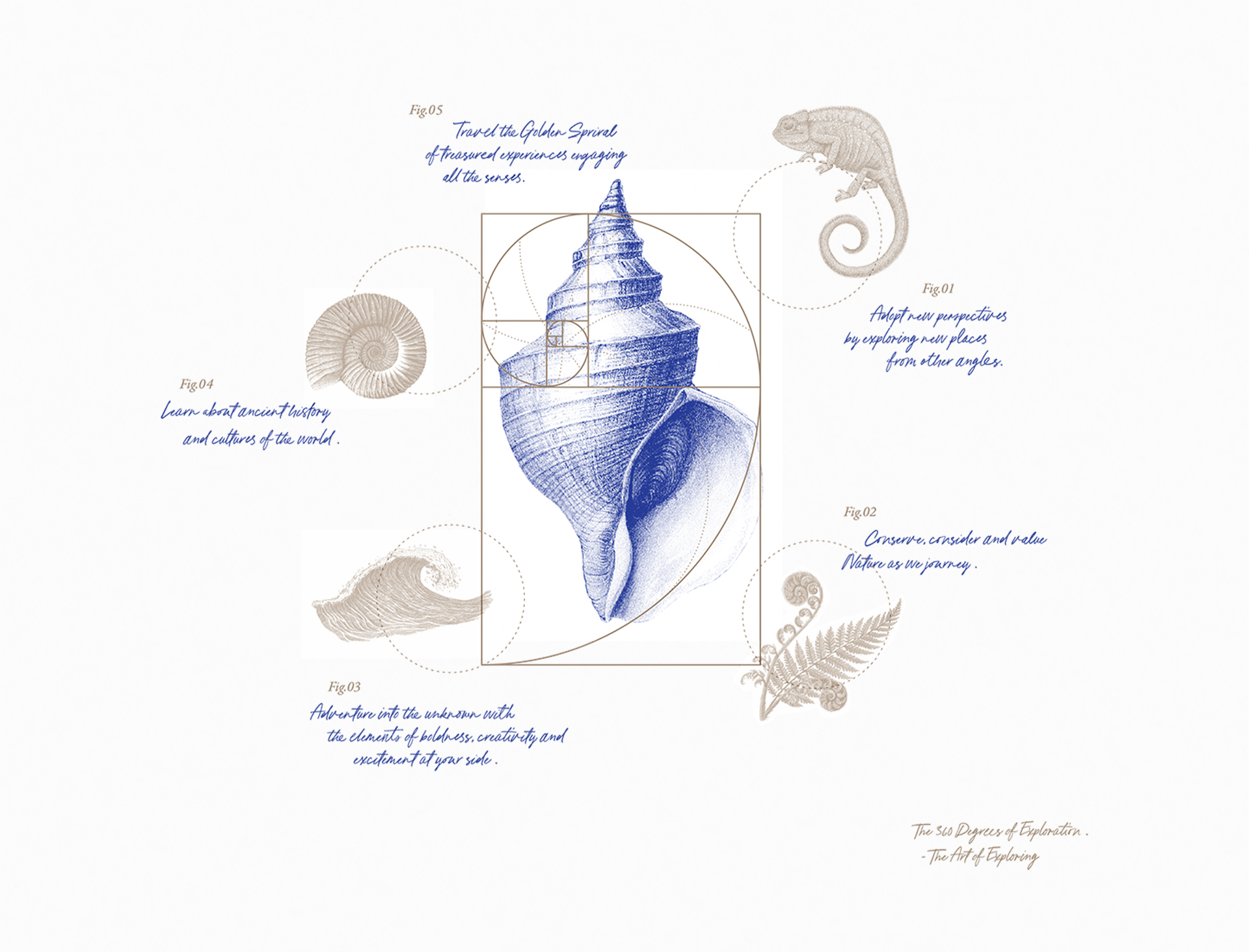 travel some place new and travel into the wild and slow down at wild earth stay.