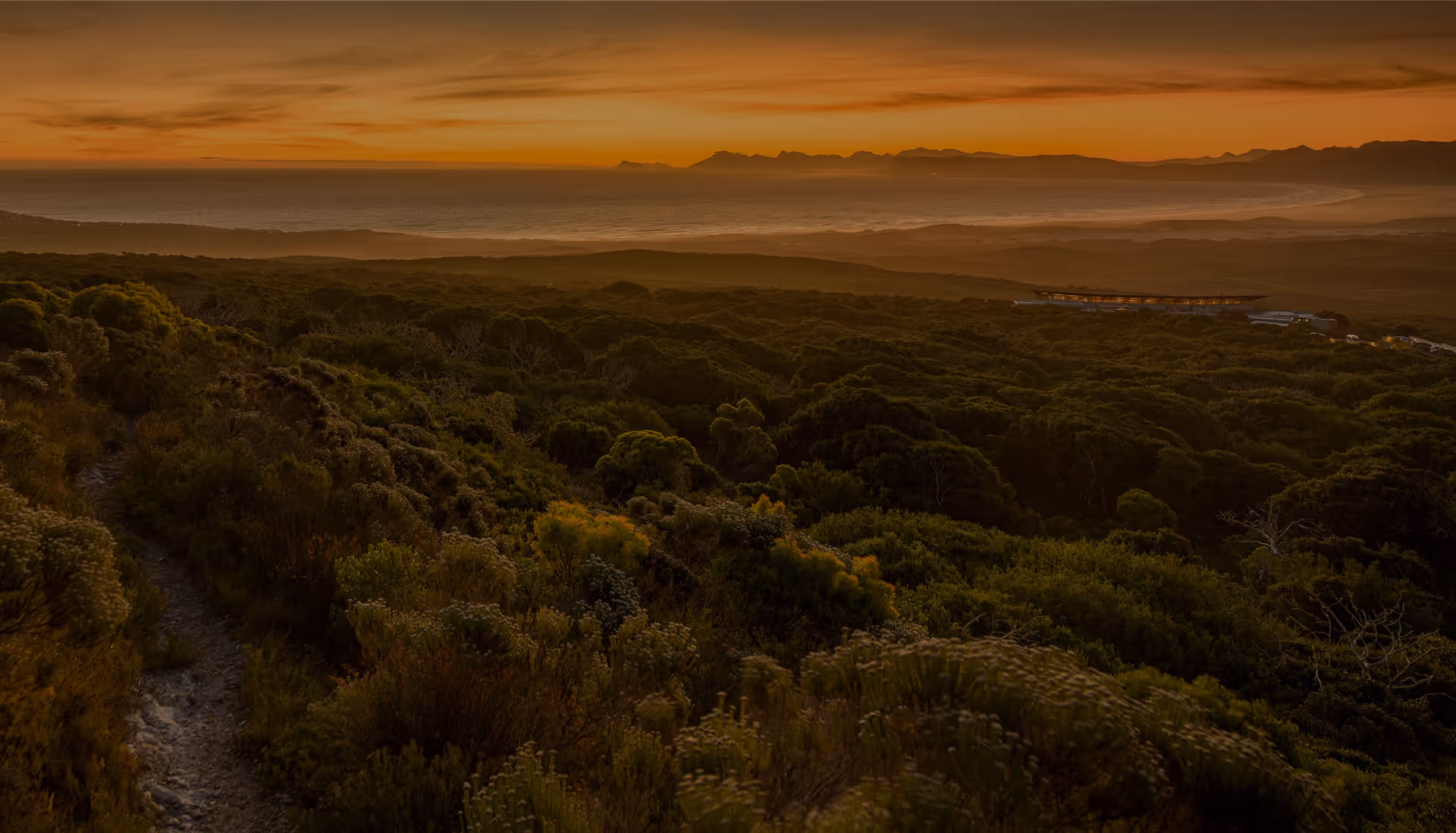 explore the grootbos reserve in south africa for less