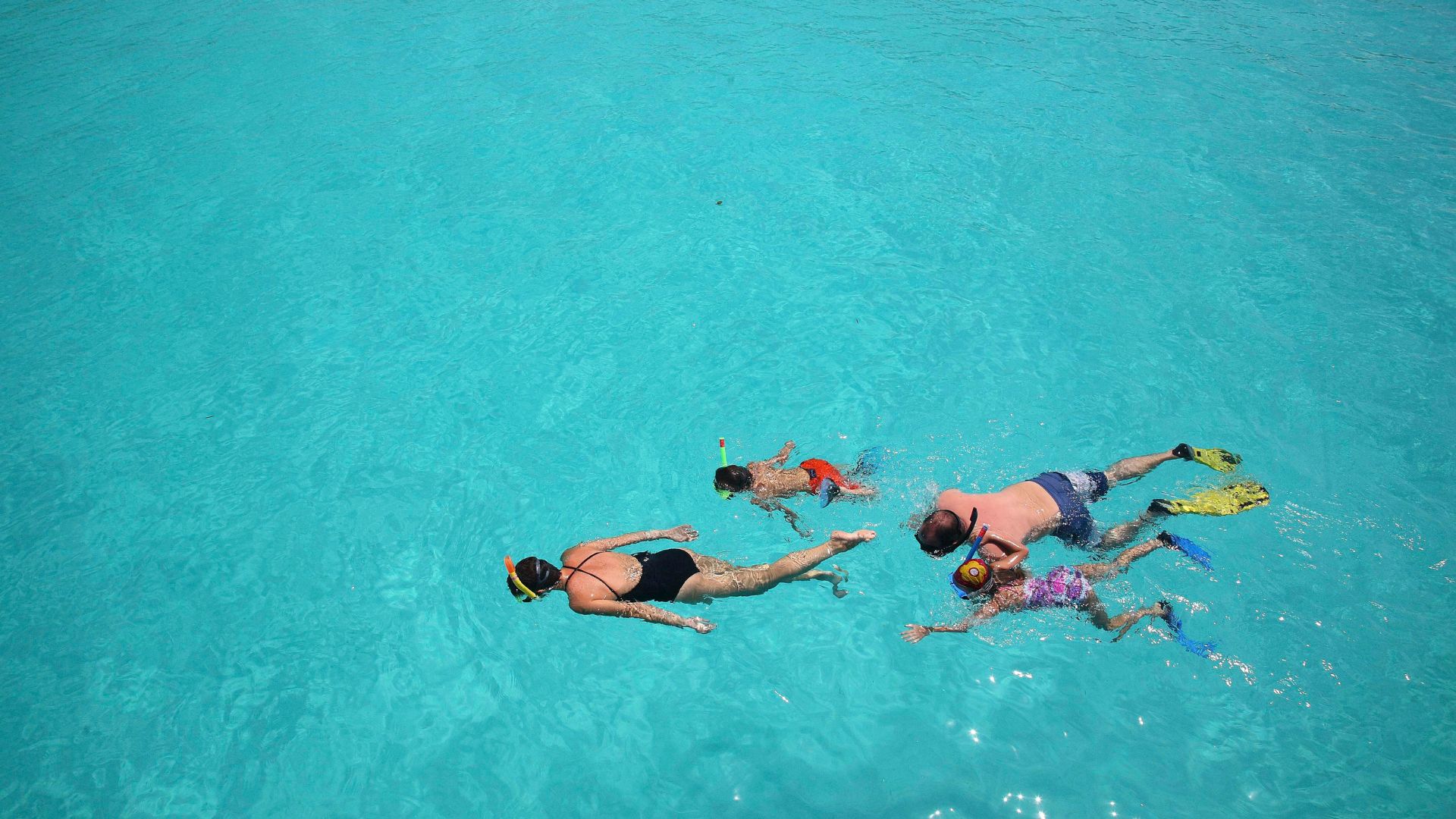 Step off the beach into crystal waters to discover vibrant reefs, dolphins, turtles, and endless fish.