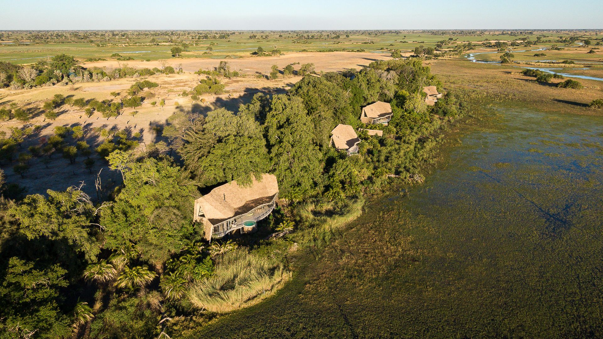 Sleep in suites raised above the Okavango floodplains, with panoramic decks and design that blends seamlessly with the wilderness for uninterrupted wild views.