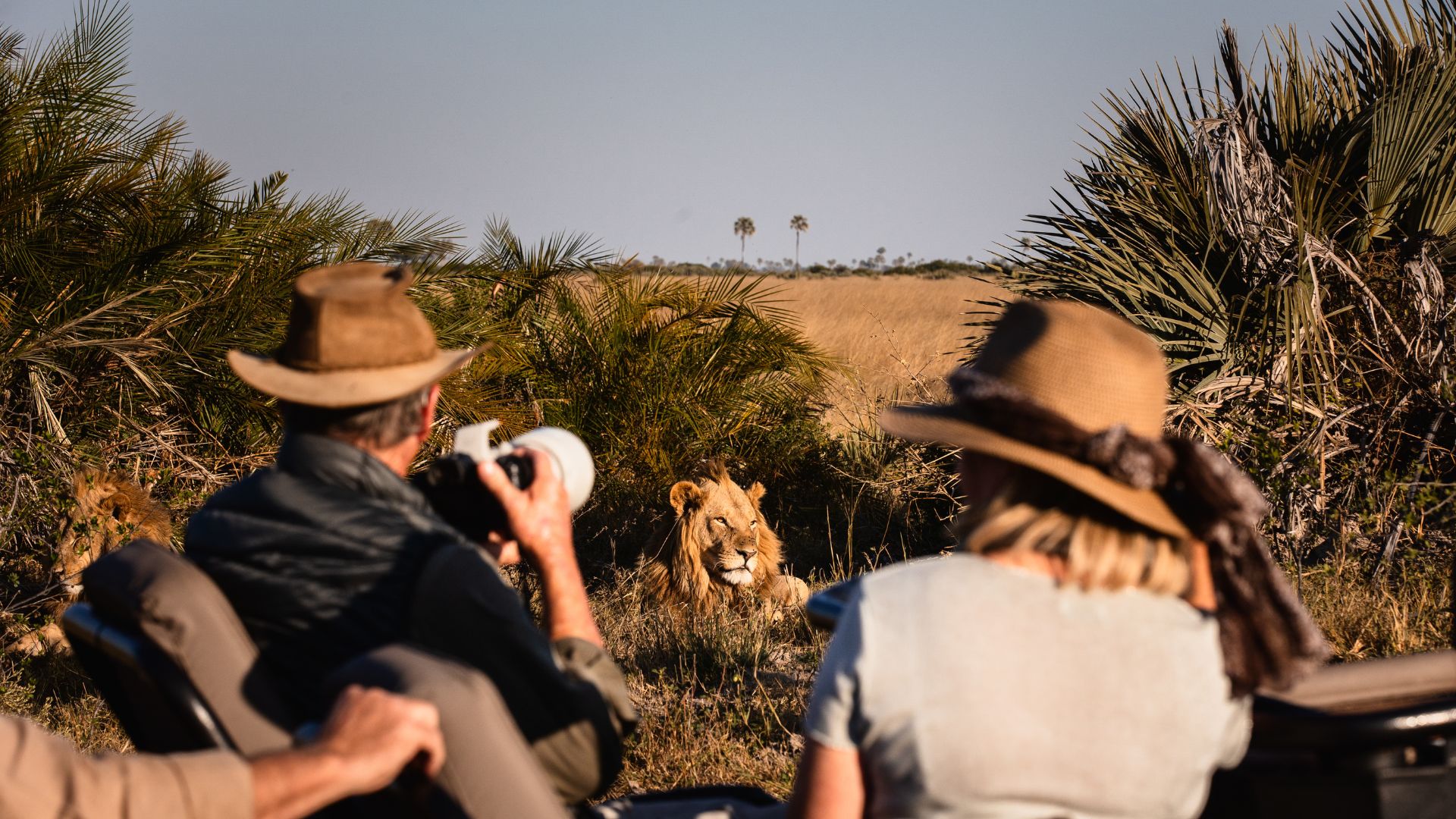 Experience both mokoro or boat safaris when water levels allow and 4x4 game drives across the private Jao Reserve for the best of both safari worlds.