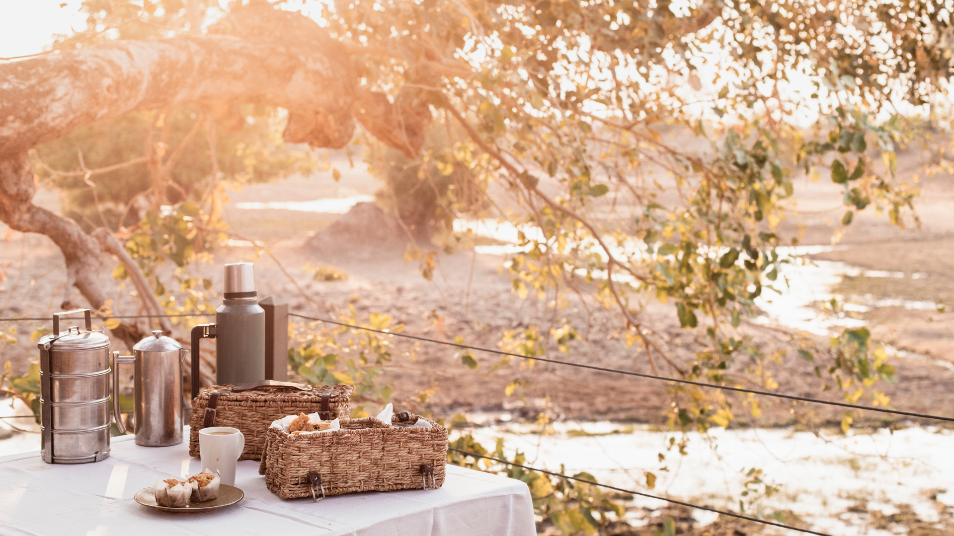 Set along the Zambezi, with tents and decks overlooking hippo pods, elephants, and spectacular sunsets.