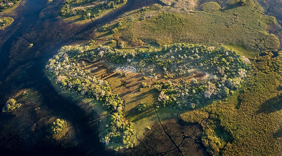 Camp is built on a tiny palm-shaped island, surrounded by Delta channels and teeming with birdlife and aquatic animals.