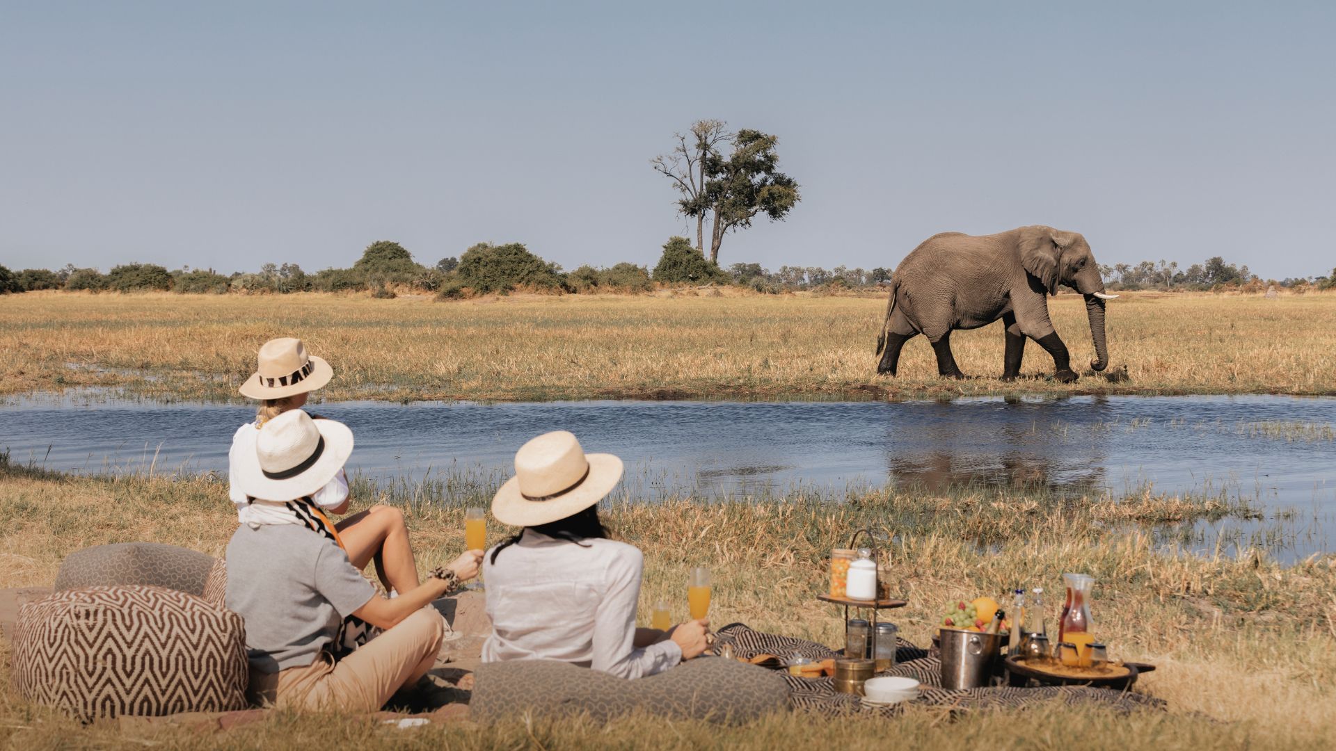 Consistently delivers the best sightings of lions, leopards, elephants, buffalo, and wild dogs anywhere in Africa.