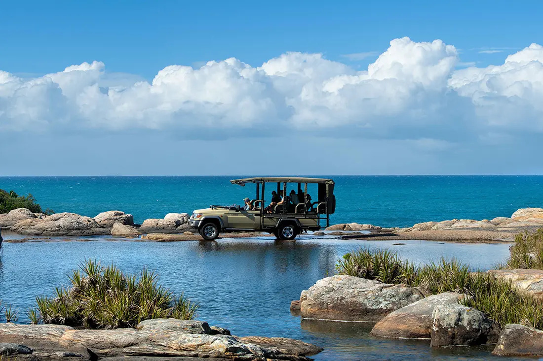 Explore secret coves, estuaries, and wildflowers with knowledgeable guides.