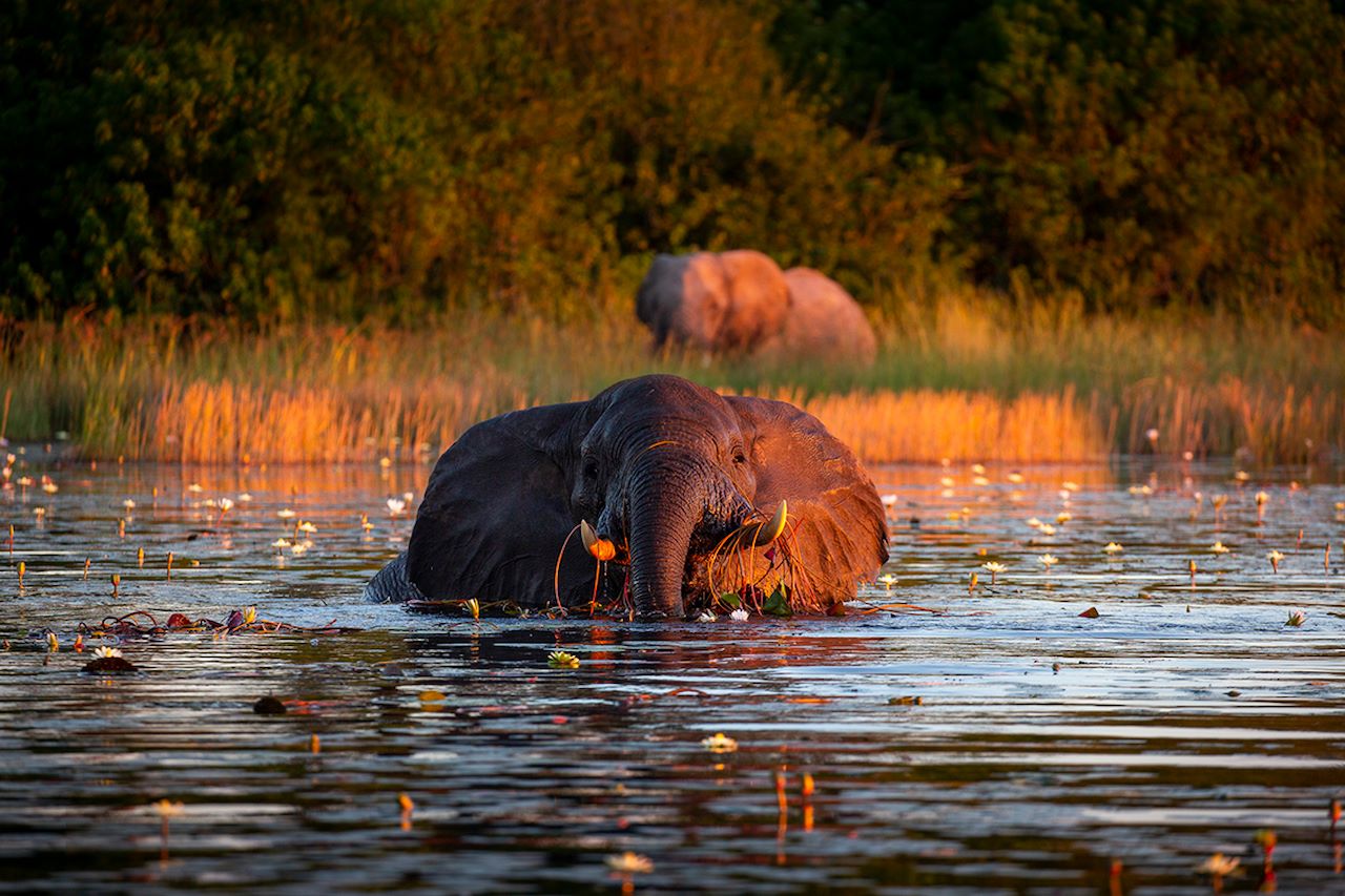 Wilderness Little Duma Tau