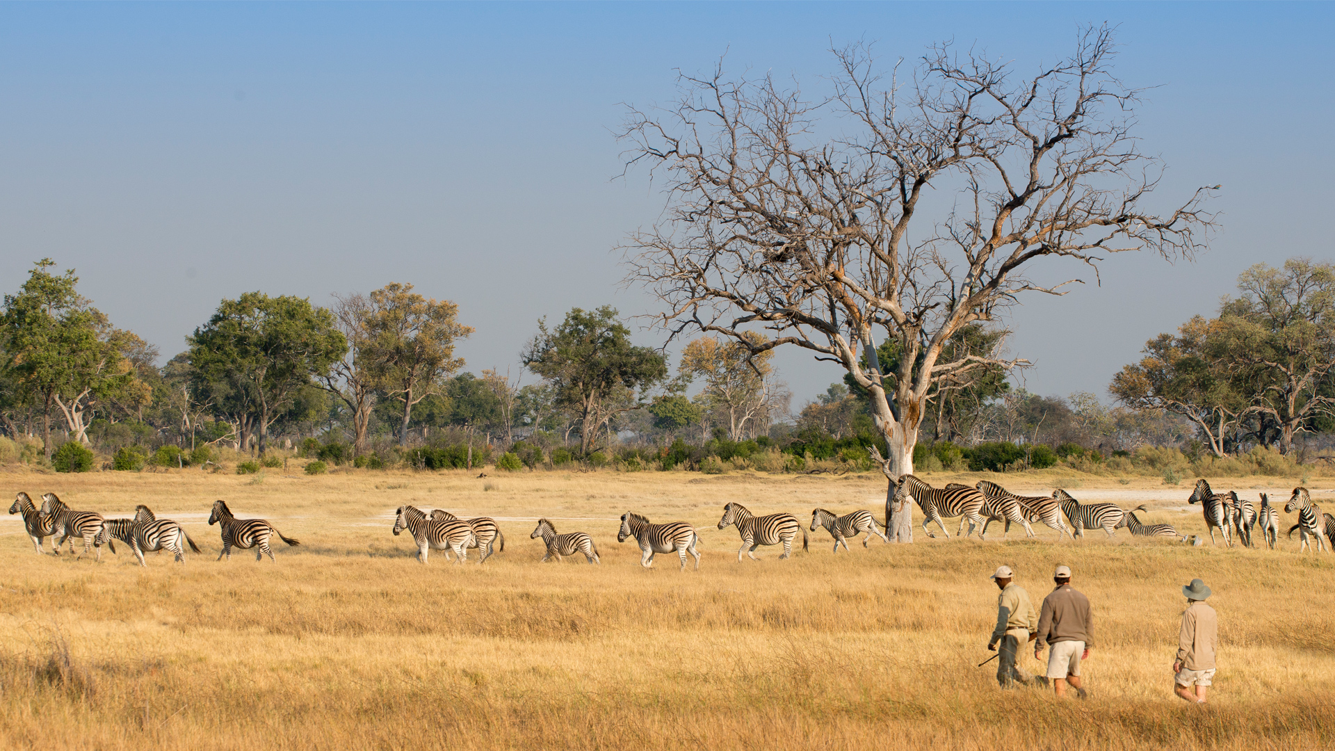 Track wildlife on foot, learn about Delta plants, and feel the island wildness up close.
