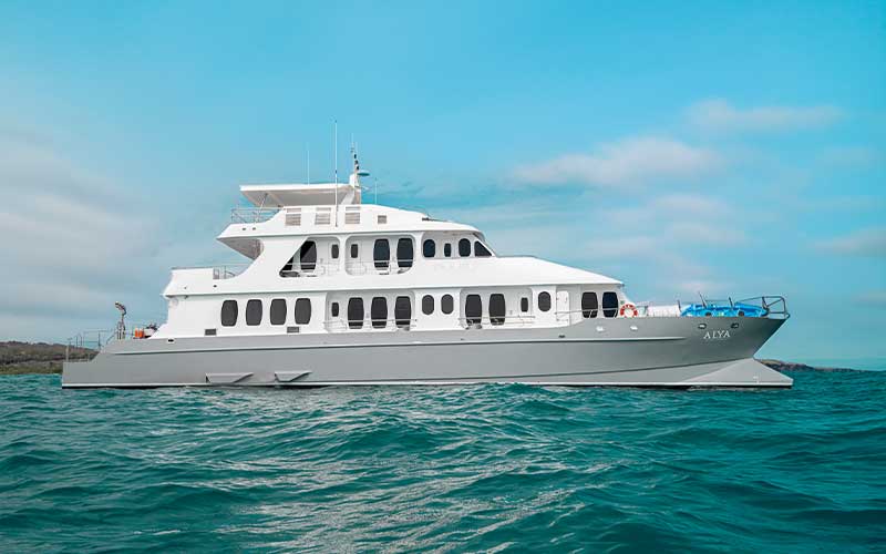 Luxury Alya Catamaran Galapagos